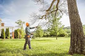 Reliable Orland Hills, IL Tree Removal and Landscaping Services Solutions